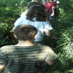 BILD2711 - Scouts en Gidsen Zaventem 